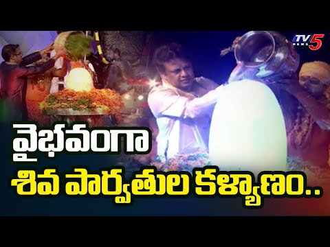 వైభవంగా శివ పార్వతుల కళ్యాణం..Shiva Parvathi Kalyanam Held Grandly In Nellore | TV5 News - TV5NEWS