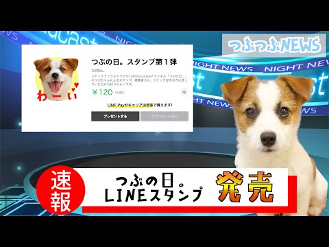 【お知らせ】LINEスタンプ作りました/ジャックラッセルテリア/