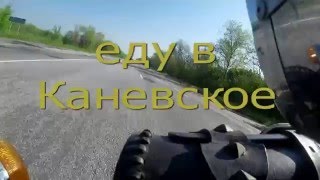 видео Туманное утро круглого карася