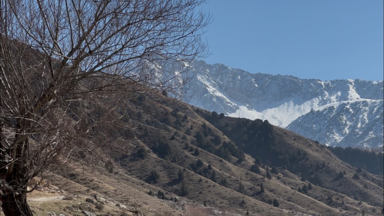 26 февраля 2026 г.