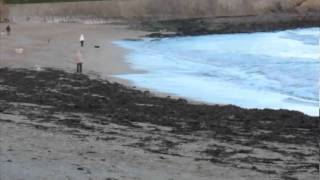 Old Man By Sophie Moore