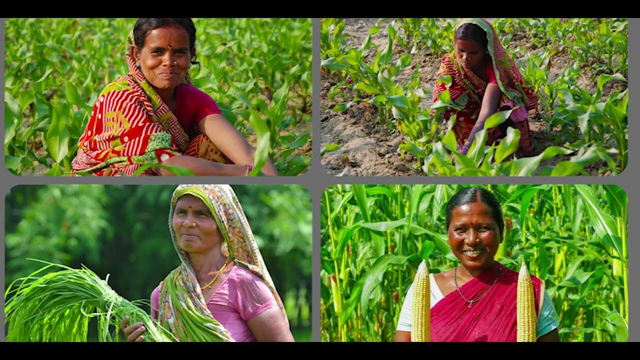 ACASA-India Platform Walkthrough