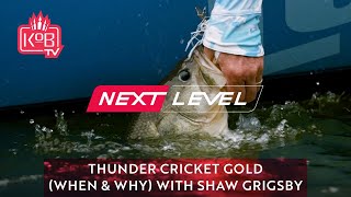 Thunder Cricket Gold (When & Why) with Shaw Grigsby [Next Level]