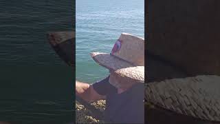 Fishing With Crypto Crack #fishing #crypto #fish #fishvideo