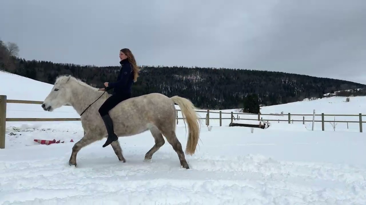 Erstes mal Halsringreiten im Neuschnee ❄️