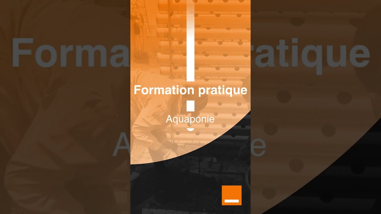 Session pratique formation en Aquaponie à saboutech