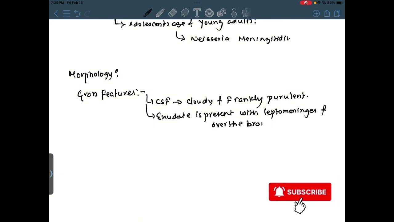 Meningitis | Pathology | MBBS 2nd Year TU #youtube #mbbs #notes #meningitis #pathology #fyp #shorts