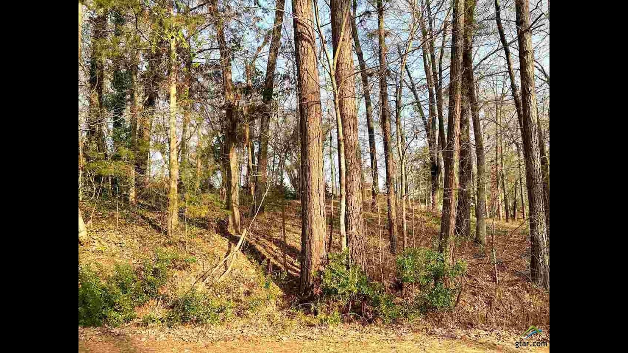 Lots And Land for sale TBD Woodland Hills, Whitehouse, TX 75791 YouTube