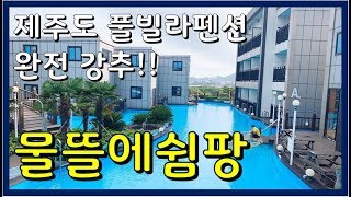 제주도 풀빌라펜션 강추 !! 수영장이 넓은 물뜰에쉼팡 VLOG ｜ 제주살이, 제주도여행,양갱부부