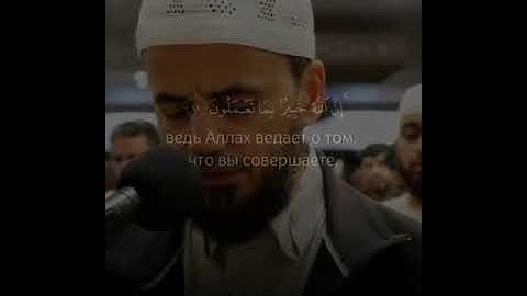 يَا أَيُّهَا الَّذِينَ آمَنُوا اتَّقُوا اللَّهَ - تلاوة خاشعة جدا 🌸❤️