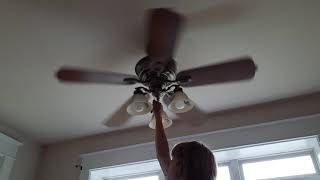 52" Hampton Bay Sussex ceiling fan.