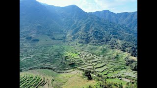 旅行vlog 去婺源看中国最美的晒秋 | Journey to Wuyuan: Witnessing China's Most Beautiful Autumn Harvest