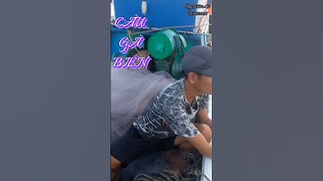 CÂU GÀ BIỂN( CÁ NÓC)