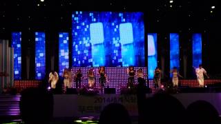 [Fan Cam] 20140927 Suwon Food Bank Nanum Concert KARA Mammamia
