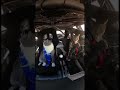 Wait, what?🤔 #dakar2026 #automobile #car #racing #ai #aivideo #aishorts #animals #animalshorts