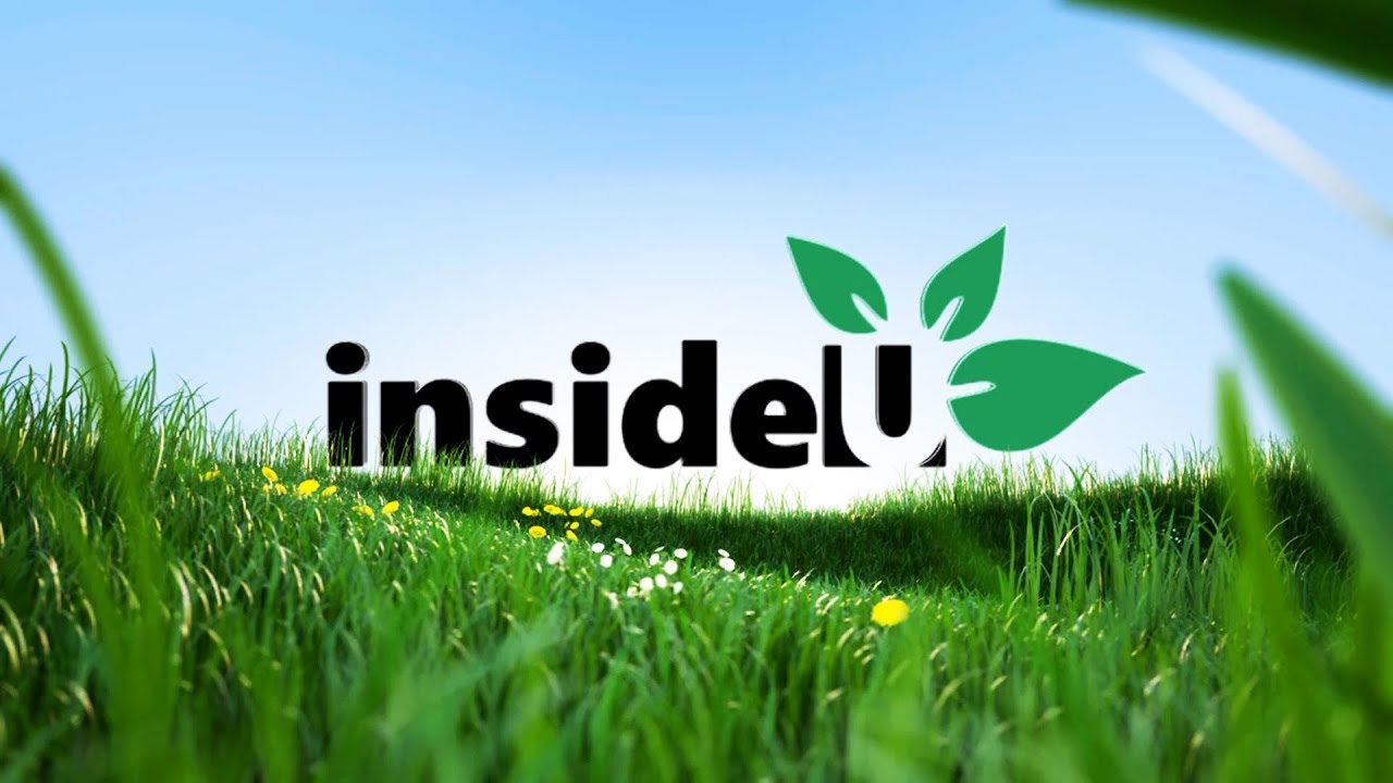 Logo Animation: 62  (Sunrise Reveal)