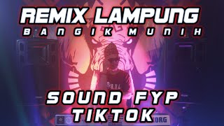 SOUND FYP TIKTOK !! BUJANG ORGEN LAMPUNG PILOT DINDA HAFIZ || BUJANG ORGEN LAMPUNG 2021