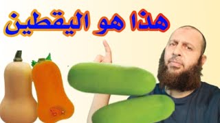 اليقطين الحقيقي الذي ذكره الله في القرءان الجزء الثاني