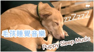 毛孩安睡音樂 | Puppy Sleep Music | RELAX MY DOG MUSIC! Relaxing Pet Music | 狗狗音樂
