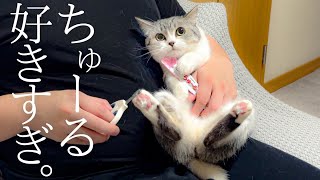 How To Trim Cat Claws by サウナ猫しきじ 6,405 views 5 months ago 9 minutes, 36 seconds