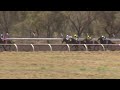 View race 5 video for 2025-10-26