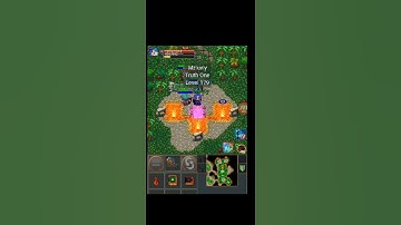 tibiame w9 pro lv 213 vice leader godx.