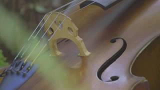 Download Lagu Murmurations - with Laura Inserra on Hang drum MP3