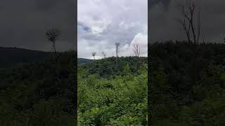 สวยงามบรรยากาศด Laos7093 ນກວຍChannel