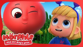 We had a Perfect Day | MORPHLE | Moonbug Kids | Available on Disney+ and Disney Jr by Moonbug Kids - Stories and Adventures 15,204 views 1 month ago 7 minutes, 7 seconds