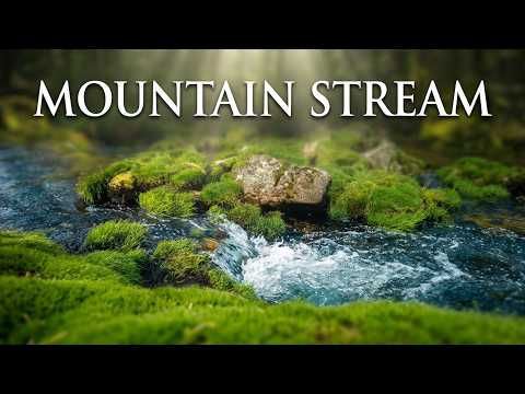 Peaceful Mountain Stream & Flowing Water Sounds 🌿💧| 10 Minutes of Pure Nature Relaxation