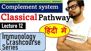 Complement system in Hindi |  classical pathway | Immunology lecture 12