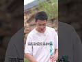 にわとりを捕まえるチャレンジ!にわとりを捕まえる方法、一緒に見てみましょう!#手作り #ミウ