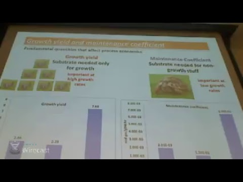 ChE 438 - Alternative Bioproduction Platform, a Chemical Engineering Perspective