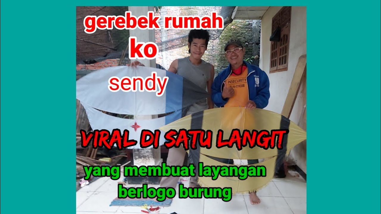 gerebek rumah ko sendy yang viral di kontes layangan pagi.sering sekali menang.berlogo burung