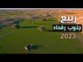 ربيع جنوب رفحاء 2023 مشاهد جميلة وربيع يفوق الوصف