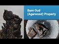 How to Burn Oud (Agarwood) Properly | Traditional & Modern Method