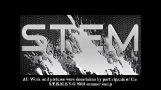 STEMSVG project 2013