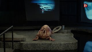 A Man Is Turned Into A Walrus By A Mad Scientist Tusk 2014 Movie Recap