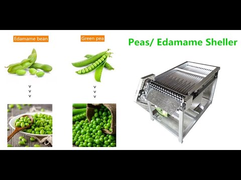 Commercial Green Peas Shelling Peeler Edamame Beans Peeling Sheller Bean Shell Pod Removing Machine