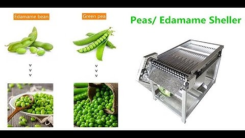 Commercial green peas shelling peeler edamame beans peeling sheller bean shell pod removing machine
