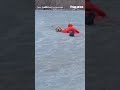 DRAMATIC RESCUE: Video shows firefighter crawling across frozen pond to rescue a dog #shorts #dog