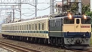 【友達共有】小田急8000系西武甲種輸送8061f+EF65-2074が低速で東海道線の鴨宮駅を通過するシーン