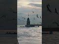 #istanbul #YürüyenAdam🐬 #kızkulesi #kurtlarvadisi #polatalemdar