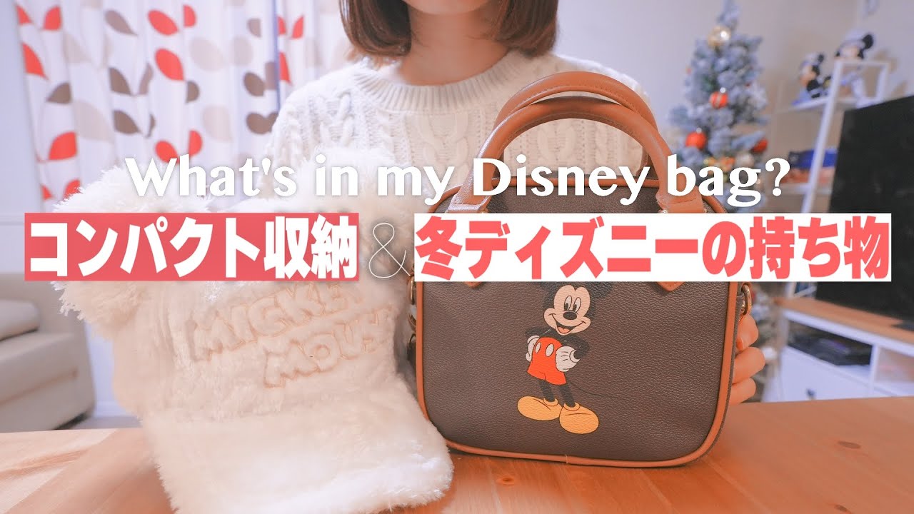 What S In My Bag 冬ディズニーの持ち物を紹介 最小限 コンパクトにまとめる方法は Youtube