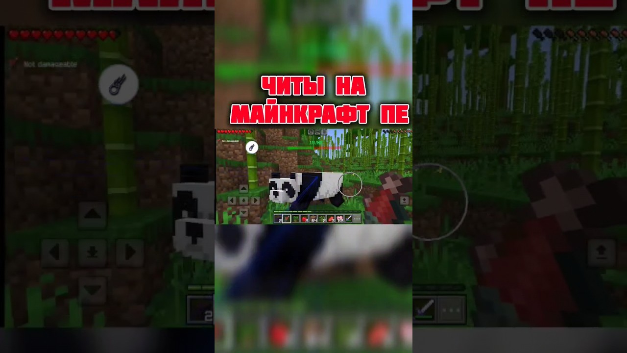 ОБЗОР ЧИТА ТУЛБОКС ПРЕМИУМ | СОФТ ДЛЯ MINECRAFT PE 1.20.81 | ЧИТЫ МАЙНКРАФТ 1.20 | 