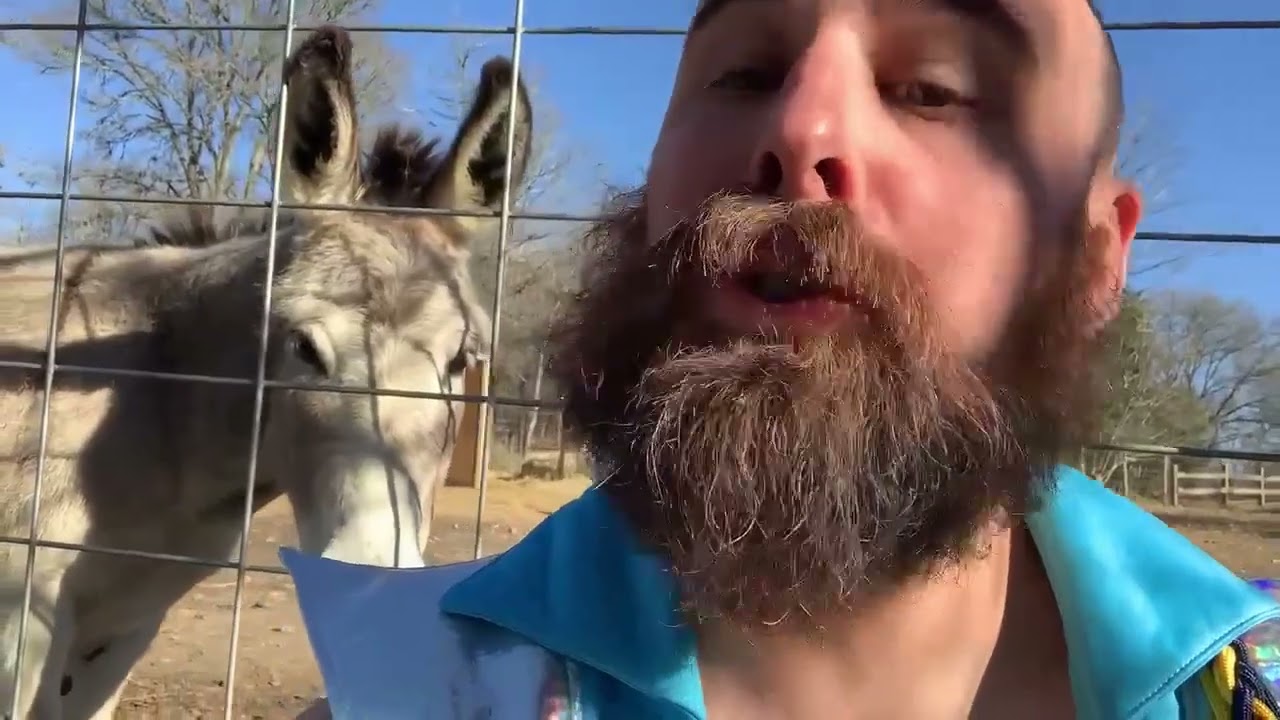 Donkey ritual of the WEF