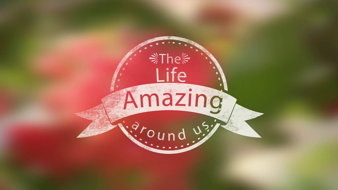 Amazing nature. Удивительная природа