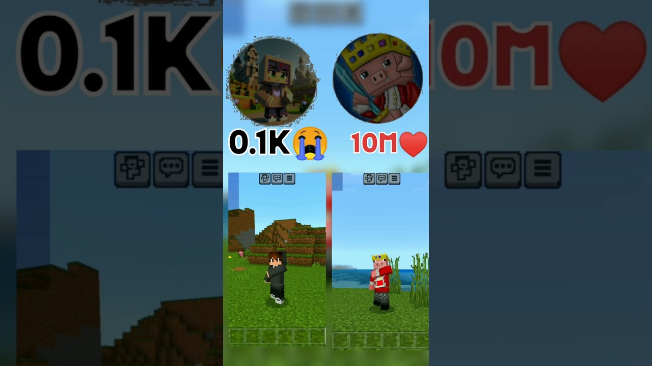 0.1k 😭// technoblade 10 M 