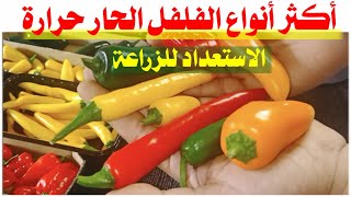 سنزرع عشرة انواع فلفل حار?️ الفلفل الاكثر حرارة في العالم