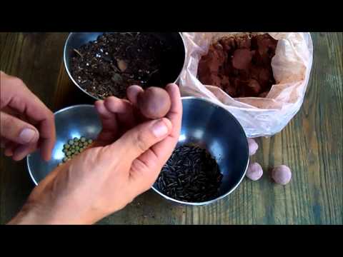 How to Make Seed Bombs